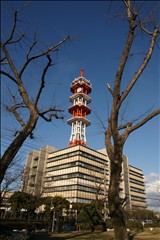マウスをのせると補正後