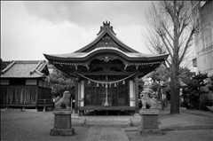 マウスをのせると補正後