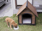 DogHouse.gif