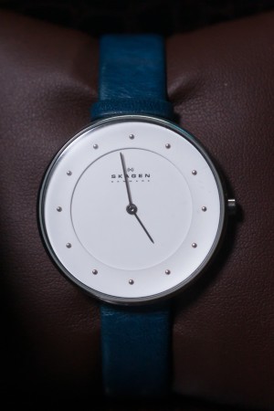 SKAGEN SKW2172