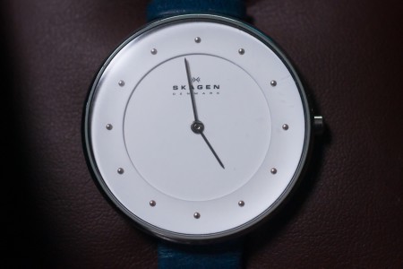 SKAGEN SKW2172