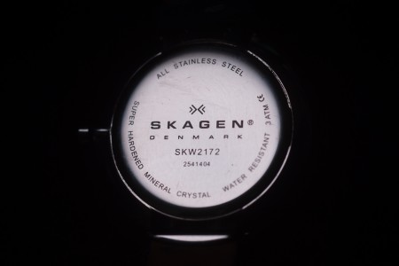 SKAGEN SKW2172