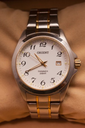 ORIENT SWIMMER