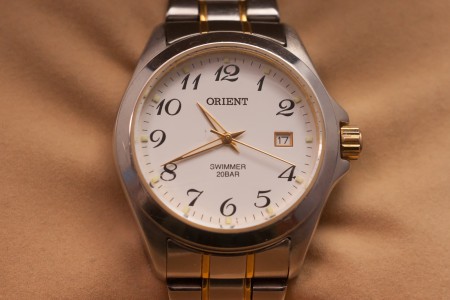 ORIENT SWIMMER