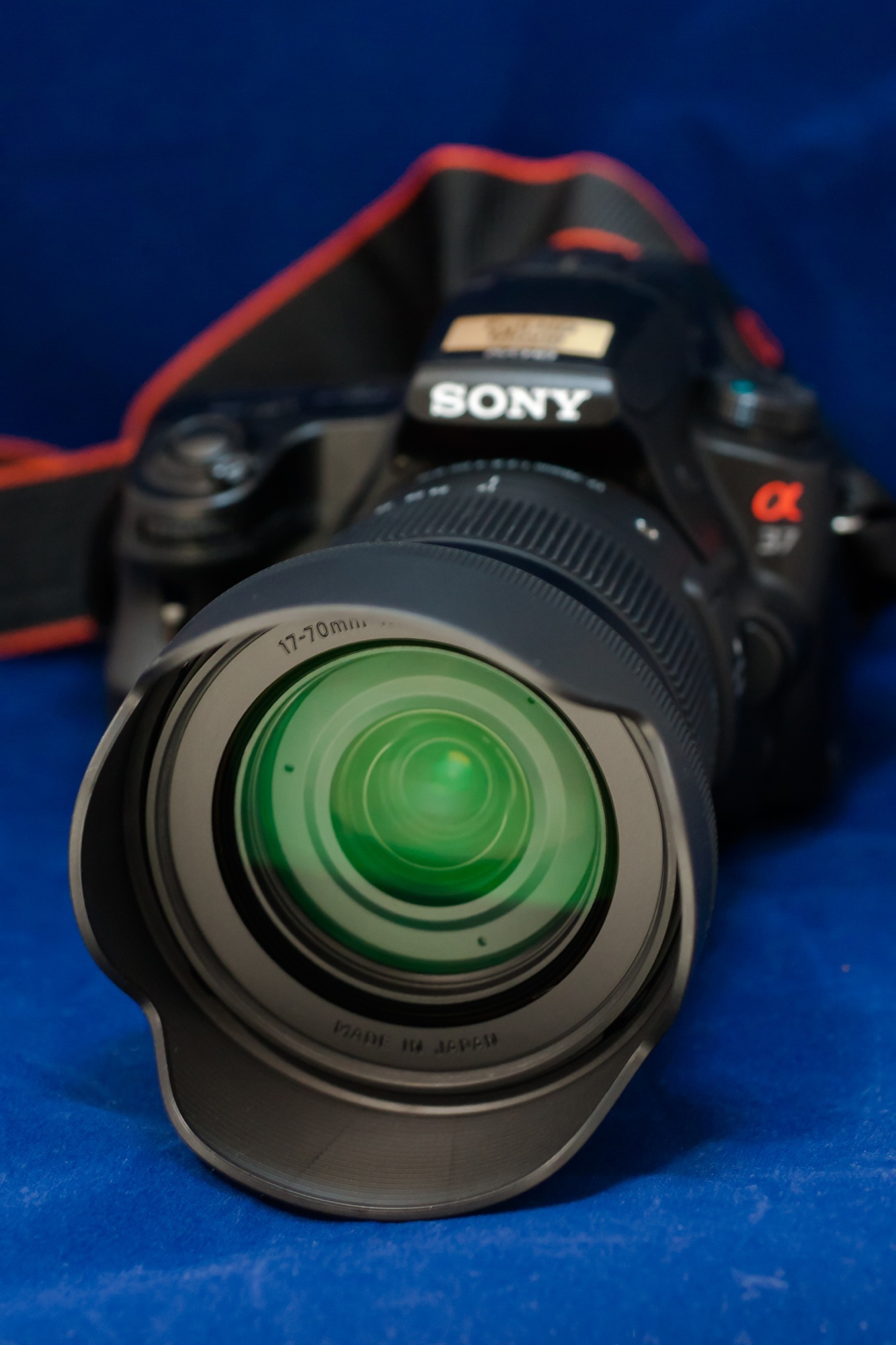 SIGMA 17-70mm F2.8-4 DC MACRO HSM レビュー 到着編 | MacBSの