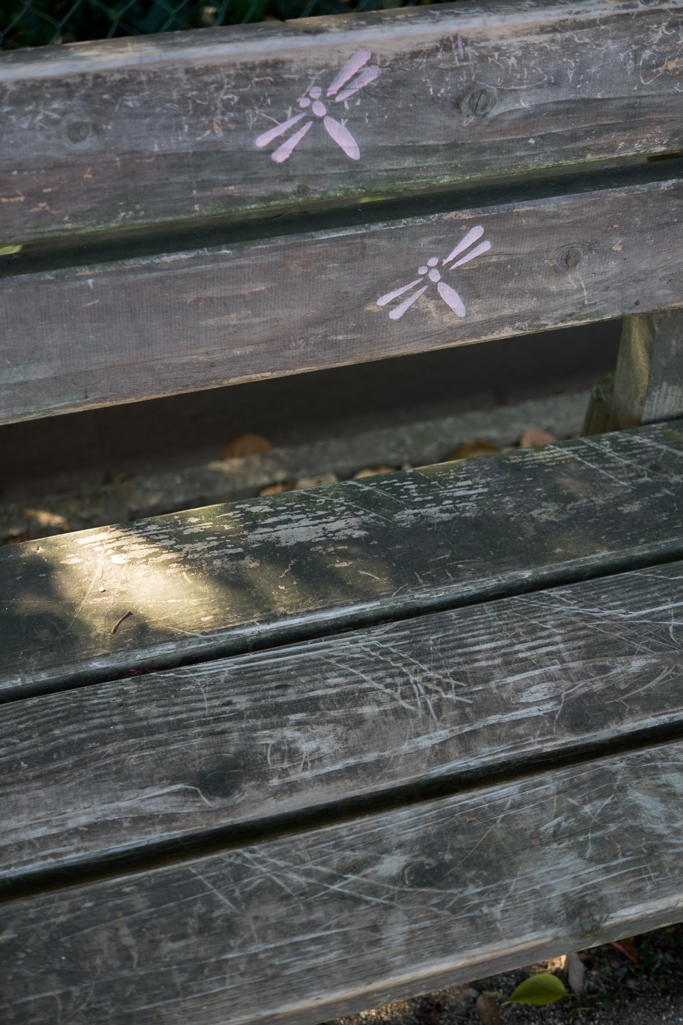 Phpでexif除去 Macbsの日常生活的日記